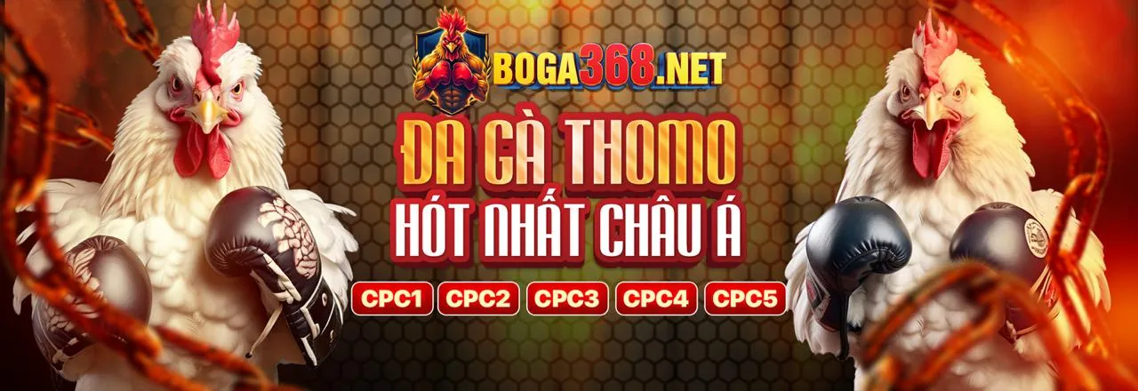 Nền tảng cá cược thể thao và casino trực tuyến cm88 code